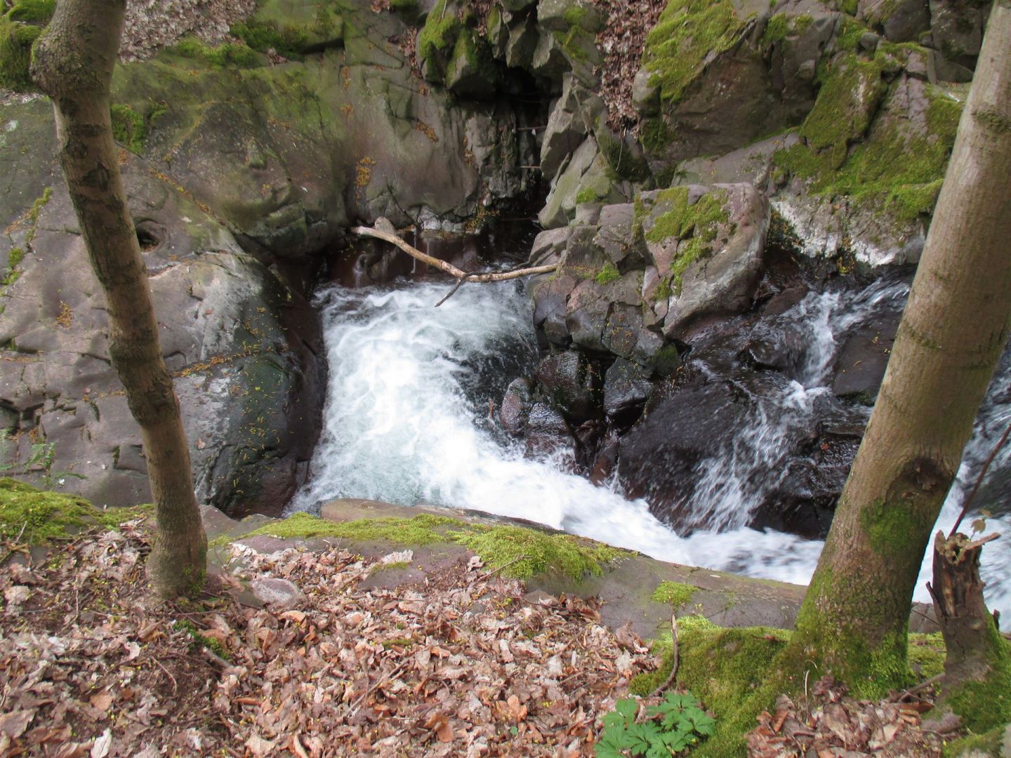 Lonauer Wasserfall - Foto: © Gabriela Bock Lonauer Wasserfall - Foto: © Gabriela Bock