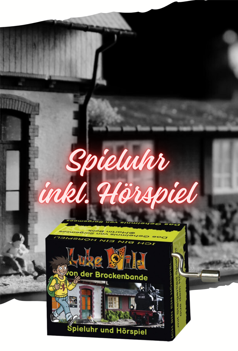 Abbildung der Spieluhr